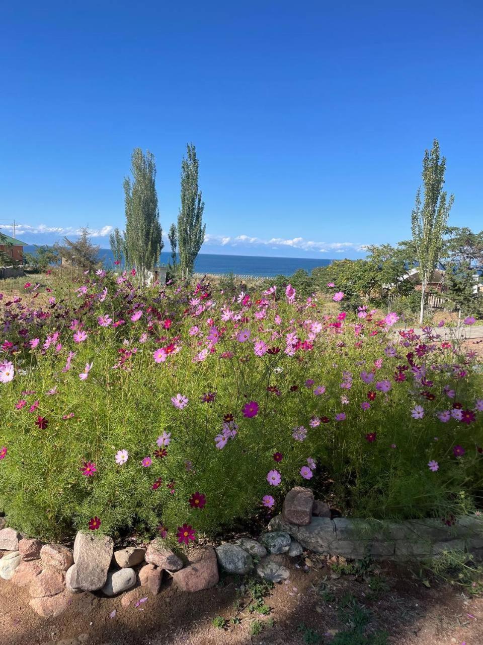 Agat Yurt Camp Bed and Breakfast Kaji-Say Buitenkant foto